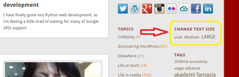WordPress Accessibility Widget Plugin Banner Image