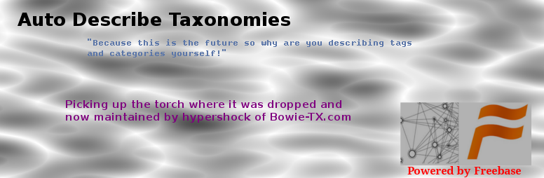 WordPress Auto Describe Taxonomies Plugin Banner Image