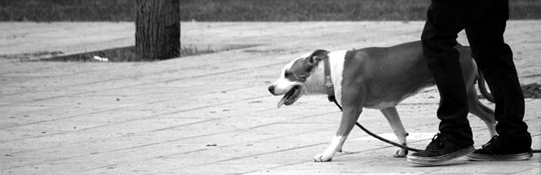 WordPress Blank Footnotes Plugin Banner Image