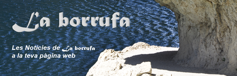 WordPress Borrufa Widget Plugin Banner Image