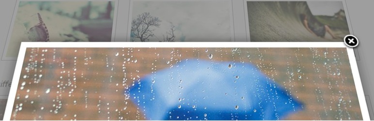 WordPress Easy FancyBox Plugin Banner Image