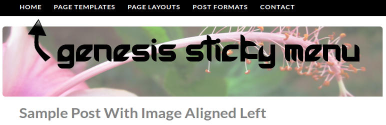 WordPress Genesis Sticky Menu Plugin Banner Image