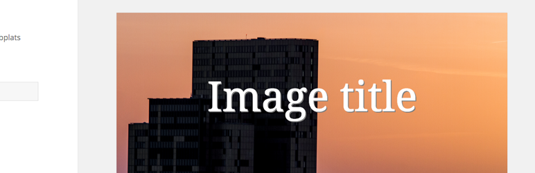 WordPress Image Caption on Featured Plugin Banner Image