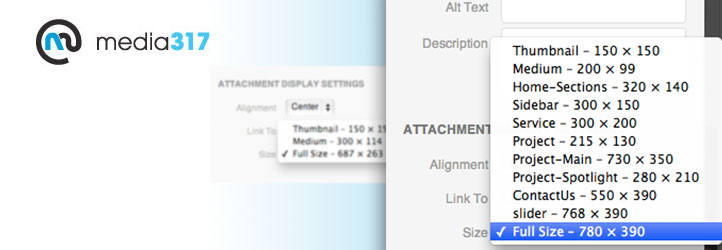 WordPress WP Image Size Selection Plugin Banner Image