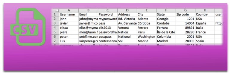 WordPress Import users from CSV with meta Plugin Banner Image