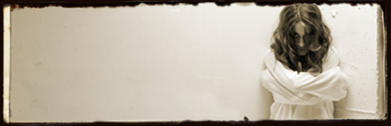 WordPress Imsanity Plugin Banner Image