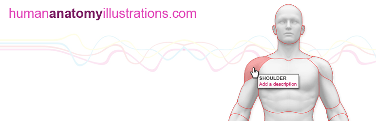 WordPress Interactive Medical Drawing of Human Body Plugin Banner Image