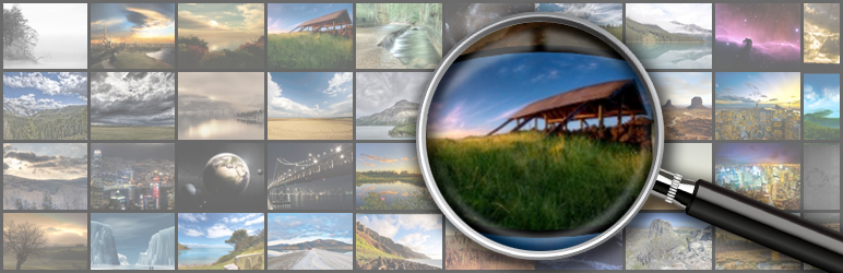 WordPress NextGEN Gallery Search Plugin Banner Image