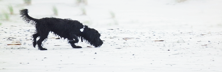 WordPress Pet Manager Plugin Banner Image