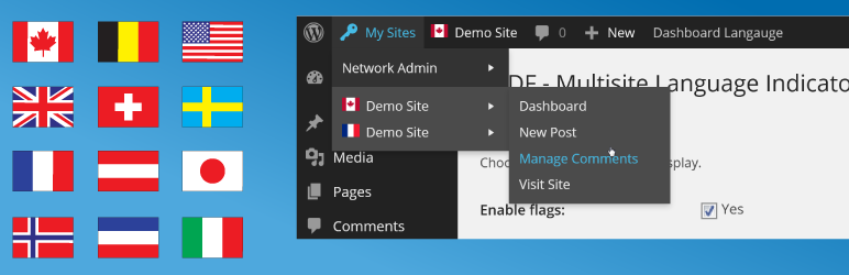 WordPress R3DF Multisite Language Indicator Plugin Banner Image