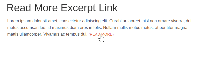 WordPress Read More Excerpt Link Plugin Banner Image