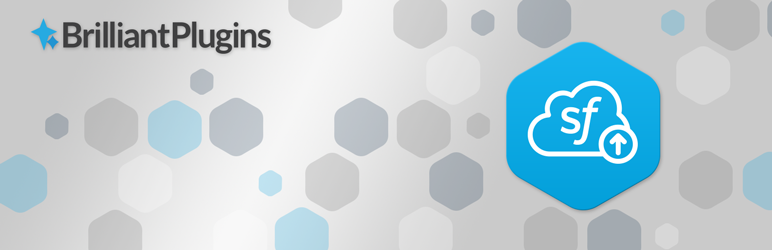 WordPress Brilliant Web-to-Lead for Salesforce Plugin Banner Image