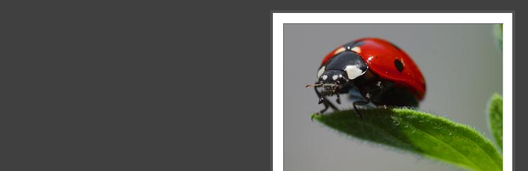 WordPress ThickBox Plugin Banner Image