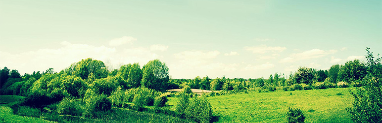 WordPress Voxpress Plugin Banner Image